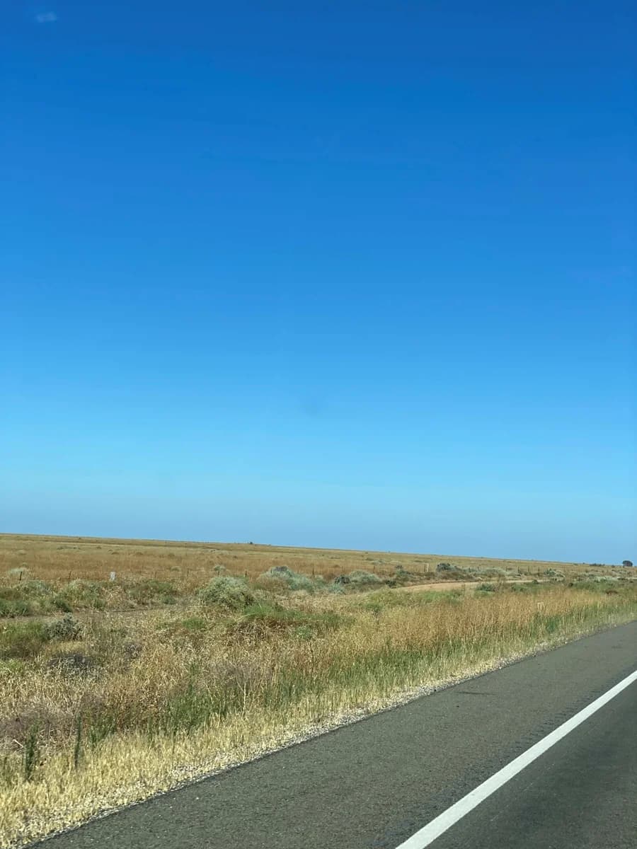 Through the Hay Plains, image 2