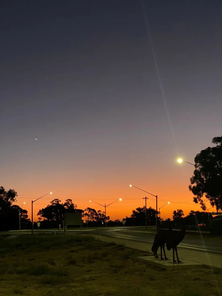 Through the Hay Plains, image 6